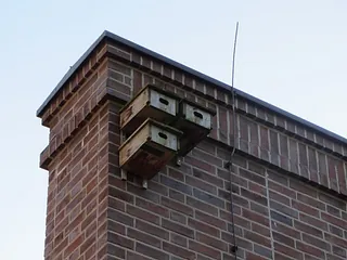 eine Mauer mit drei Mauerseglerkästen
