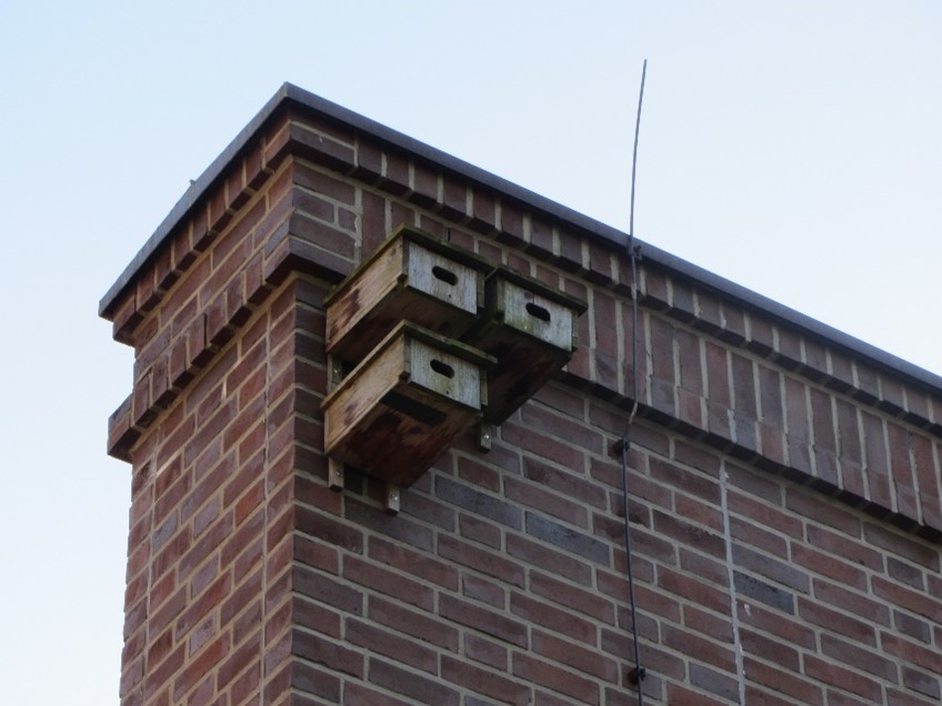 eine Mauer mit drei Mauerseglerkästen