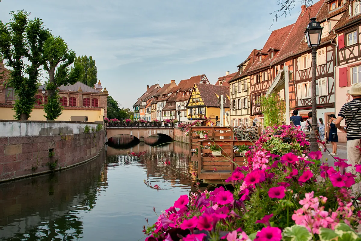 Kanal mit Blumen und Gebäuden.