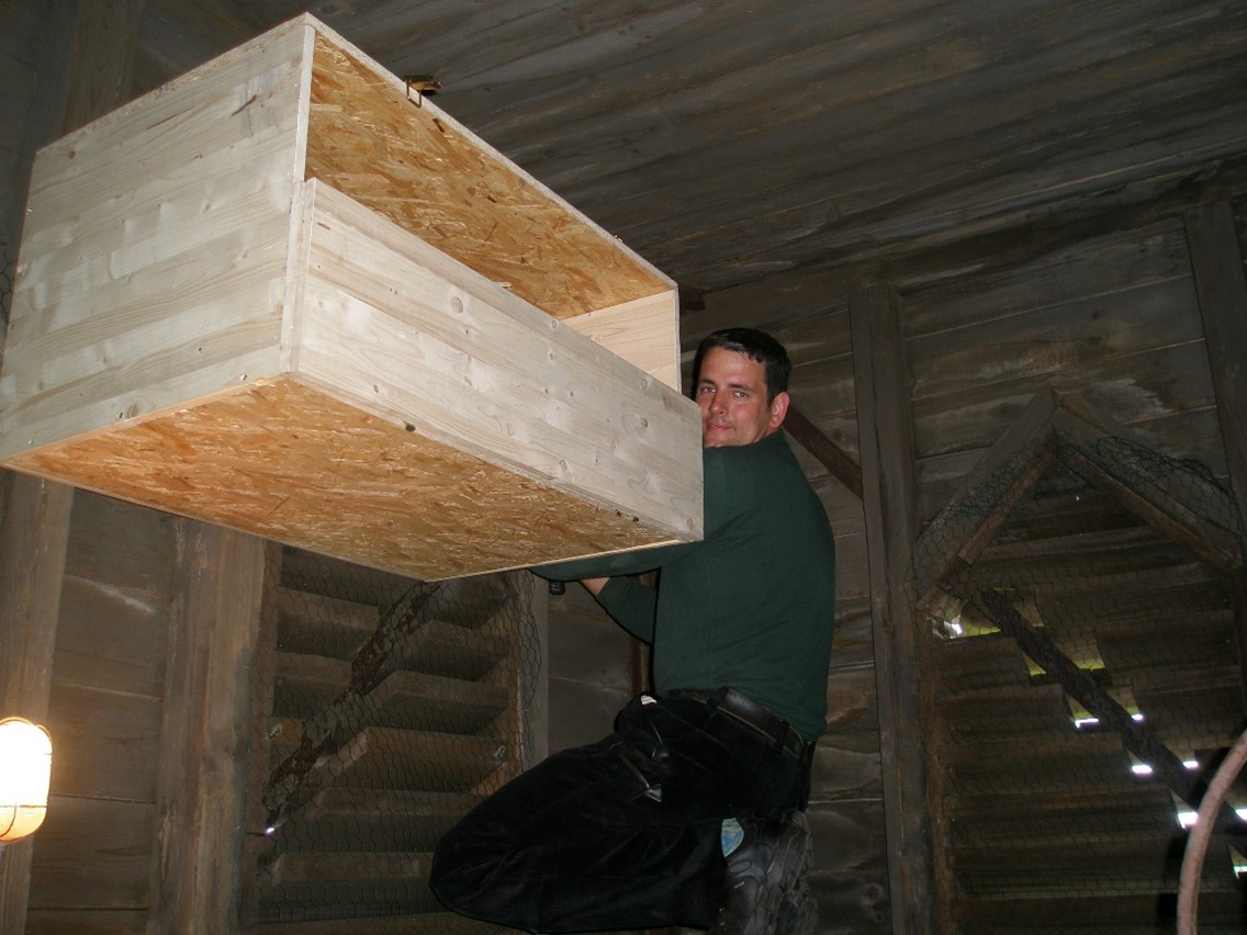 ein Eulenkasten wir eingebaut