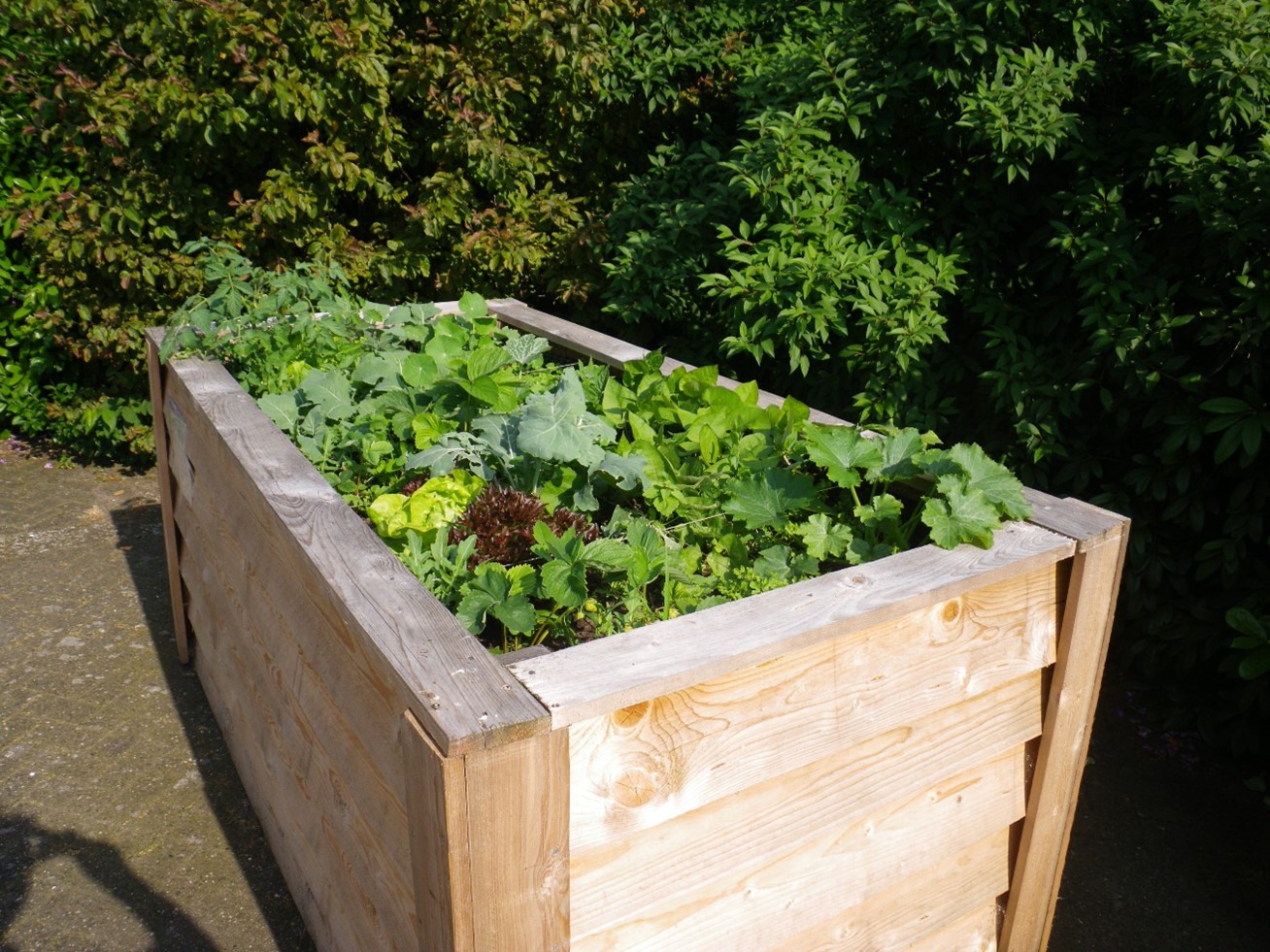 Hochbeet mit kleinen Pflanzen